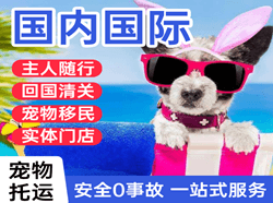 阿荣航空空运国际宠物托运 【国